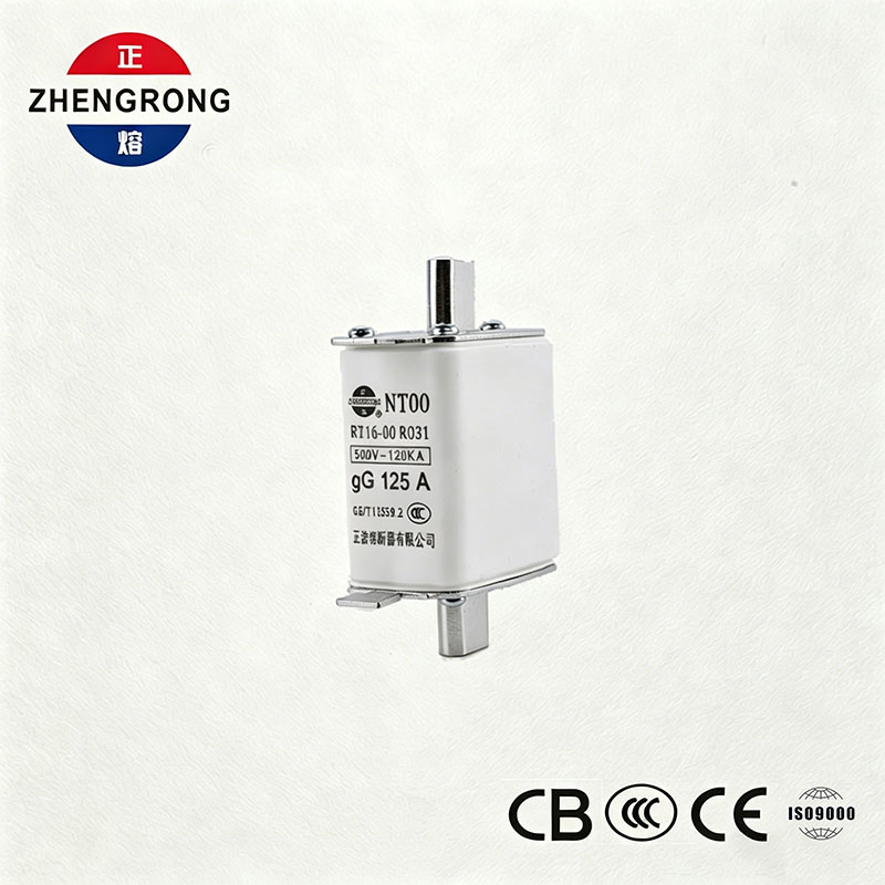 Fusível de quebra alto da capacidade NT00 125A - ligação cerâmica do fusível do gG de 500V 120kA